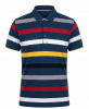 Поло мужские Артикул 2У-41-5218 (разноцветный 2XL)